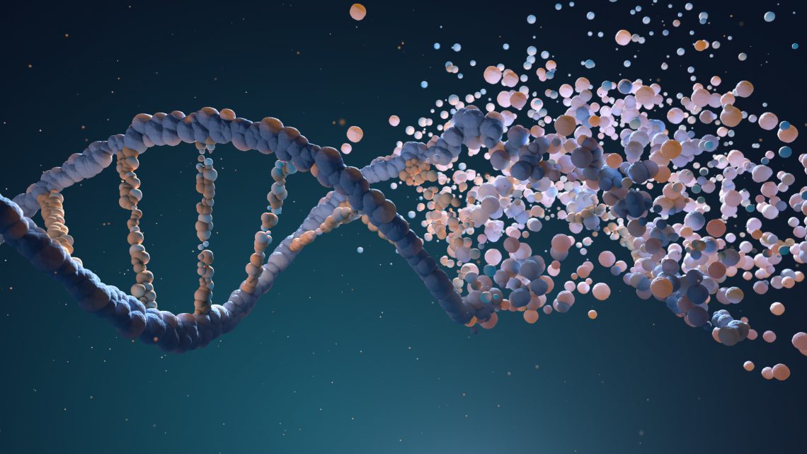 DNA strand assembling from different elements. 3D illustration