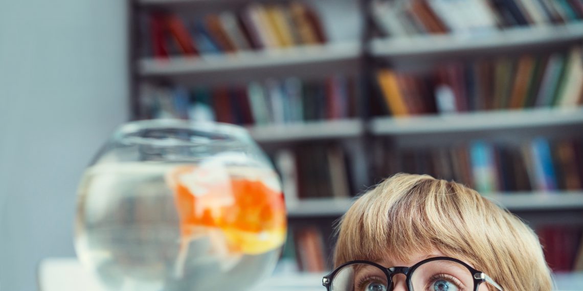 Little boy with goldfishin library