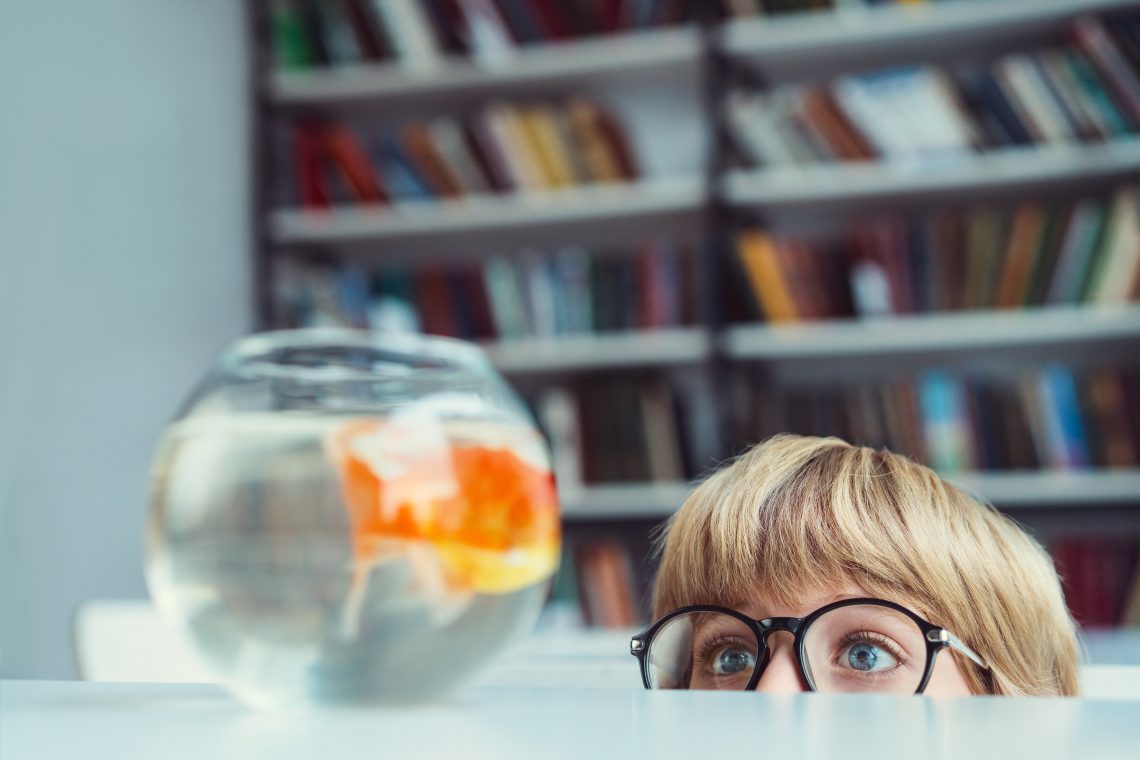 Little boy with goldfishin library