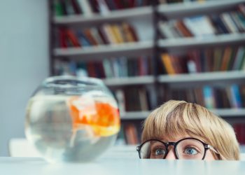 Little boy with goldfishin library