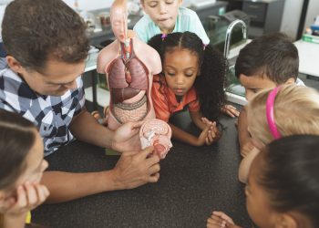 Overhead view of a teacher showing to his school kids a brain part of a dummy skeleton wile they are looking at it in classroom at school