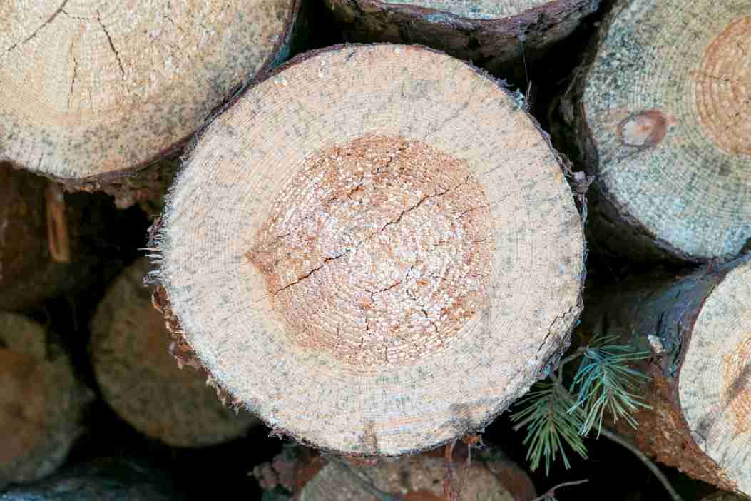 Wooden logs for making turning blanks