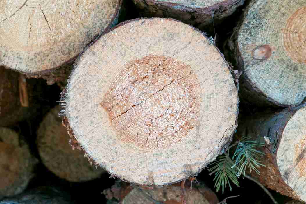 Wooden logs for making turning blanks